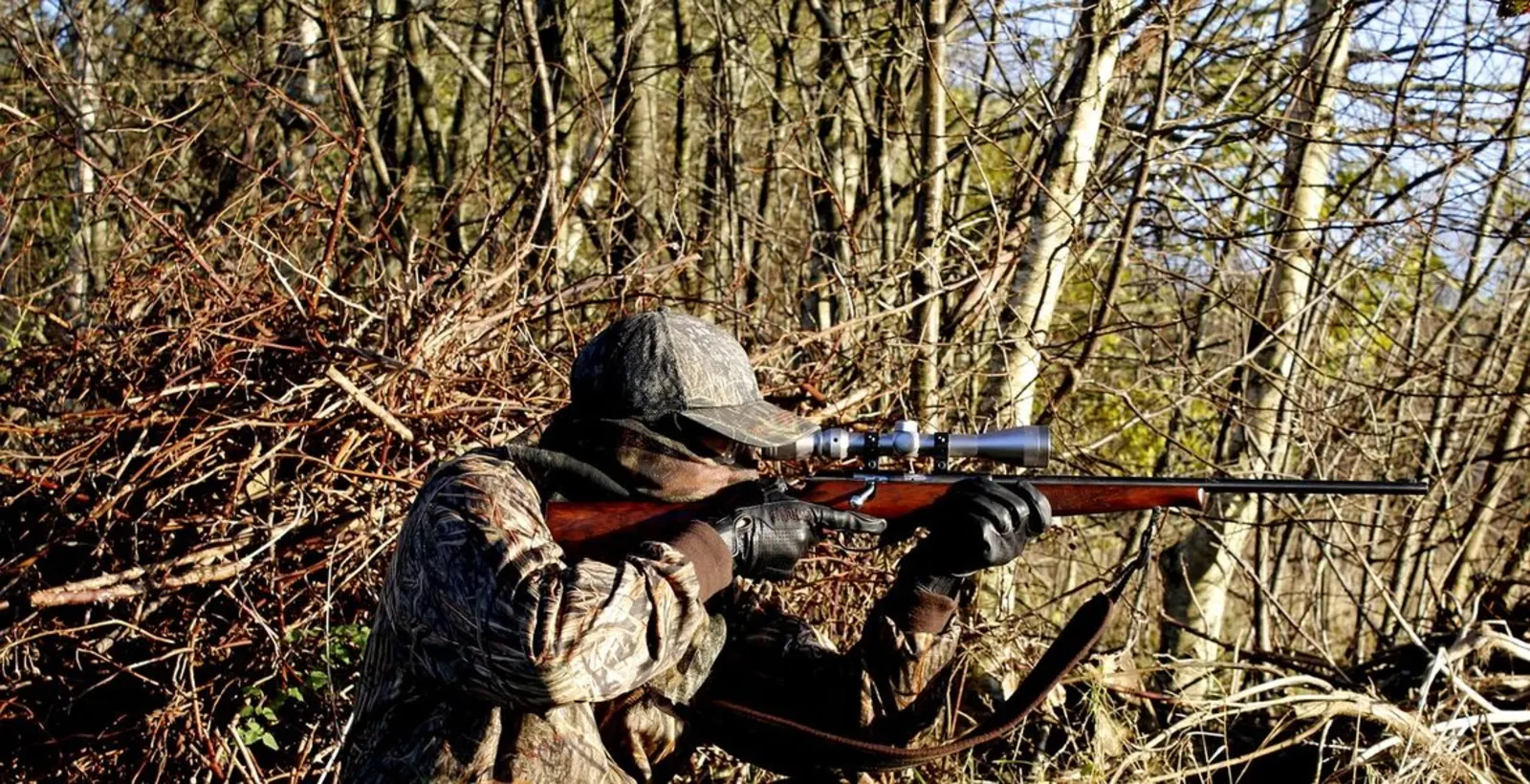 Expert Reviews for Hunters